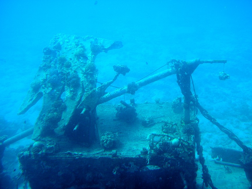 P1010876.jpg